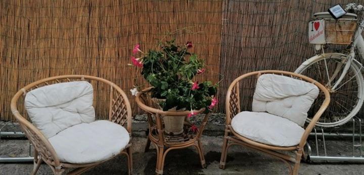 La Marinella Bed & Breakfast Белведере Маритимо Екстериор снимка