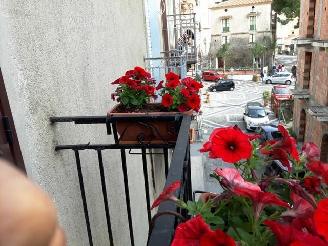 La Marinella Bed & Breakfast Белведере Маритимо Екстериор снимка